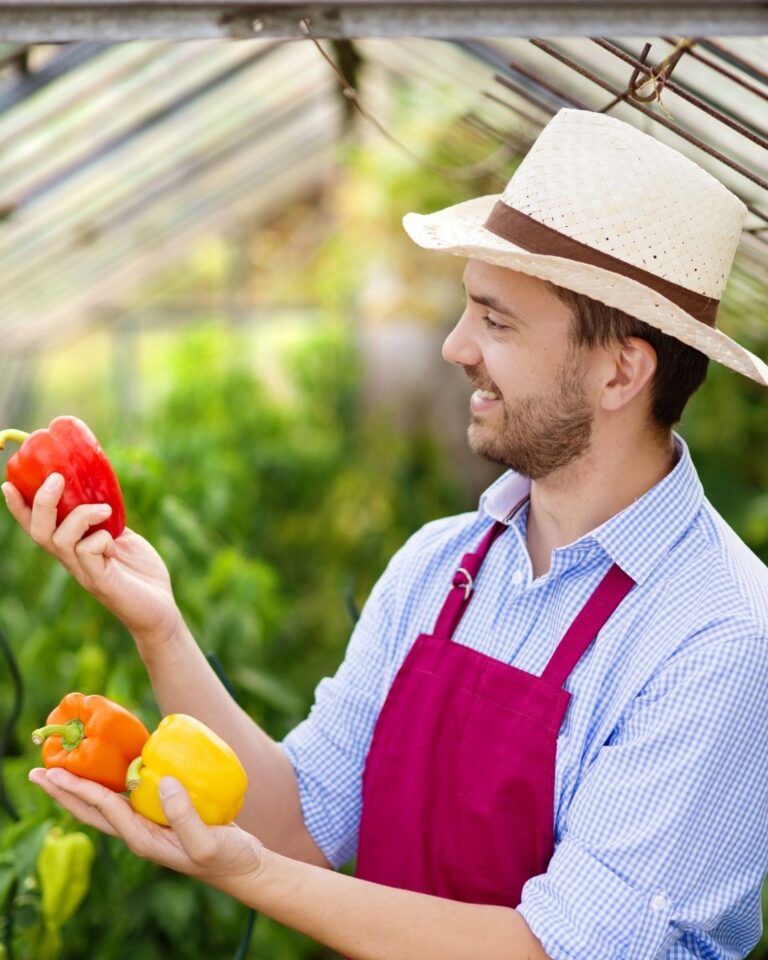 RR Peppers
